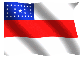 amazonflag